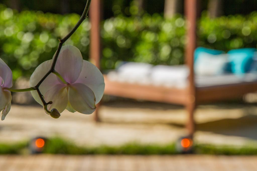 Marseilles Beachfront Hotel Μαϊάμι Μπιτς Εξωτερικό φωτογραφία